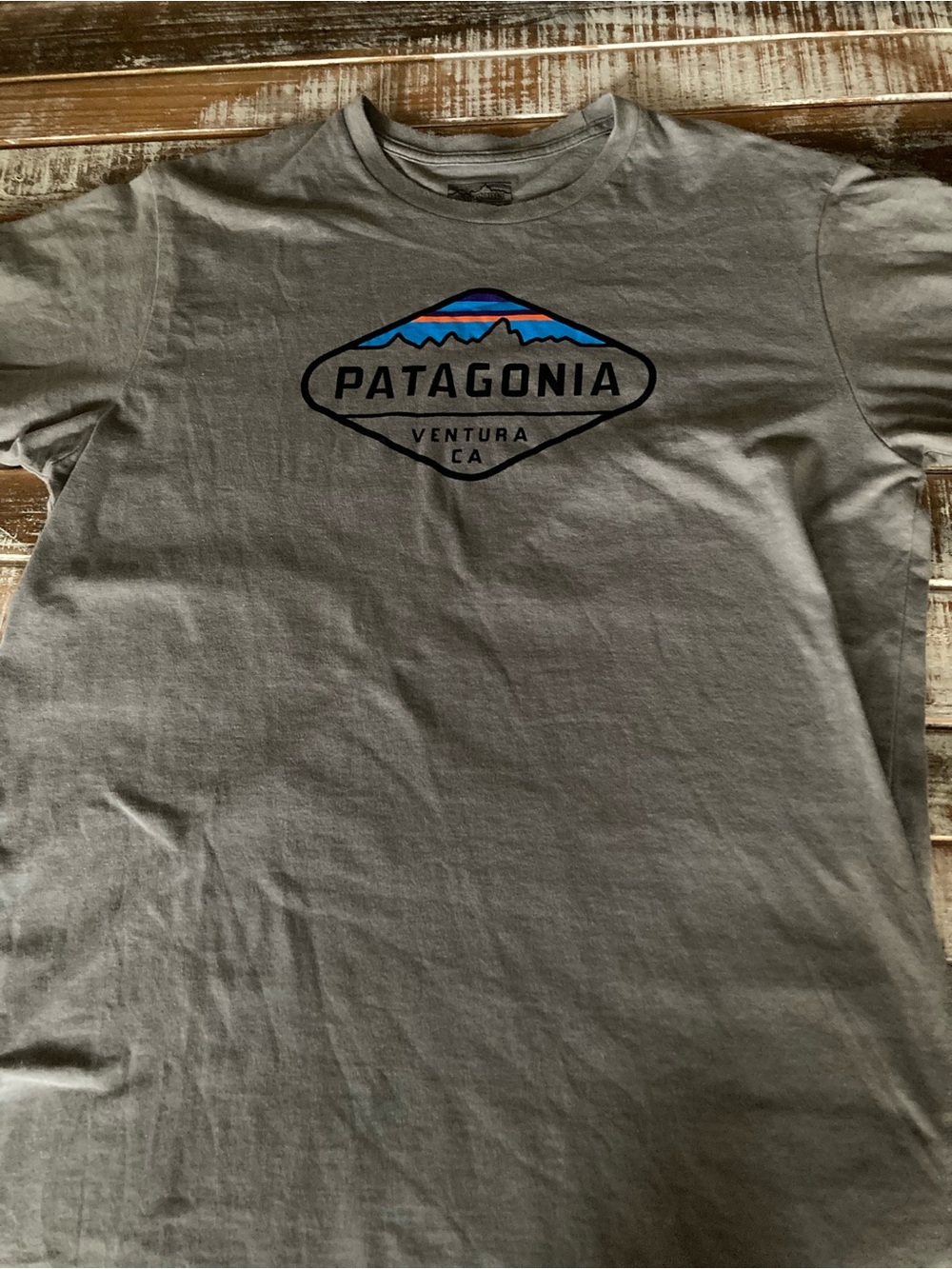 Patagonia Gray Short Sleeve Logo Tee with Blue Accent